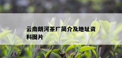 云南朗河茶厂简介及地址资料图片