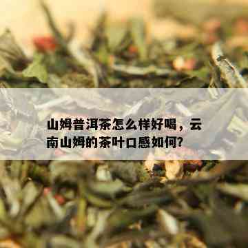 山姆普洱茶怎么样好喝，云南山姆的茶叶口感如何？