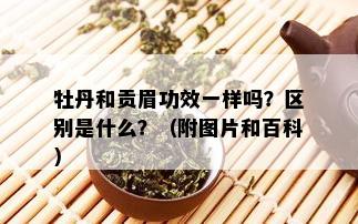 牡丹和贡眉功效一样吗？区别是什么？（附图片和百科）