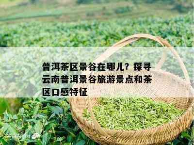 普洱茶区景谷在哪儿？探寻云南普洱景谷旅游景点和茶区口感特征