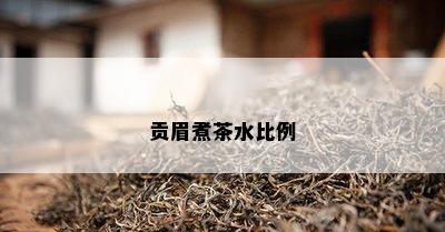 贡眉煮茶水比例