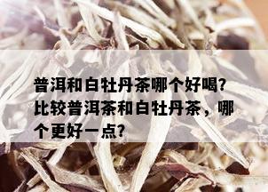 普洱和白牡丹茶哪个好喝？比较普洱茶和白牡丹茶，哪个更好一点？