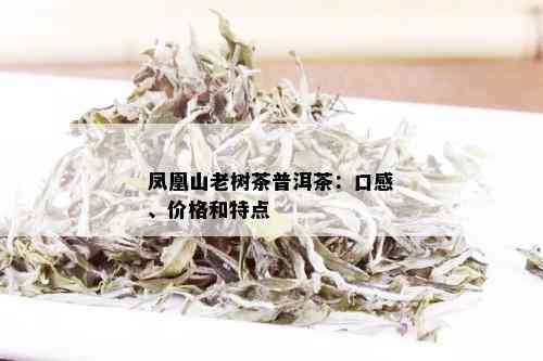 凤凰山老树茶普洱茶：口感、价格和特点