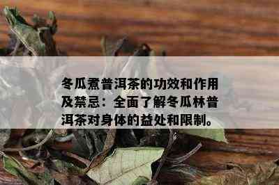 冬瓜煮普洱茶的功效和作用及禁忌：全面了解冬瓜林普洱茶对身体的益处和限制。