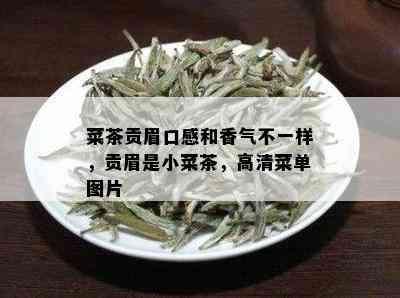 菜茶贡眉口感和香气不一样，贡眉是小菜茶，高清菜单图片