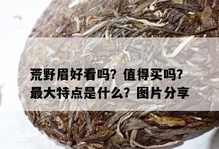 荒野眉好看吗？值得买吗？更大特点是什么？图片分享