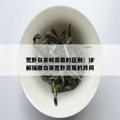 荒野白茶和贡眉的区别：详解福鼎白茶荒野贡眉的异同