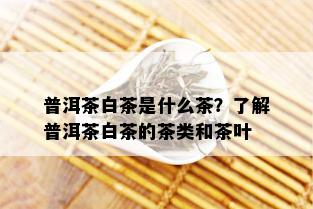 普洱茶白茶是什么茶？了解普洱茶白茶的茶类和茶叶