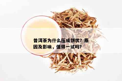 普洱茶为什么压成饼状？原因及影响，值得一试吗？