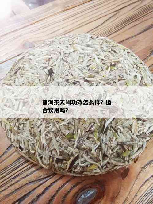 普洱茶天喝功效怎么样？适合饮用吗？