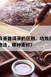 白茶普洱茶的区别、功效及泡法，哪种更好？