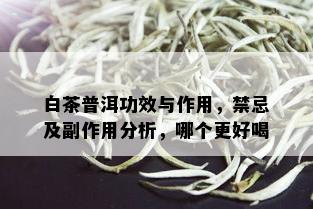 白茶普洱功效与作用，禁忌及副作用分析，哪个更好喝