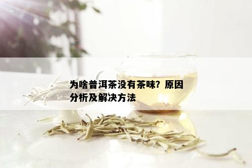 为啥普洱茶没有茶味？原因分析及解决方法