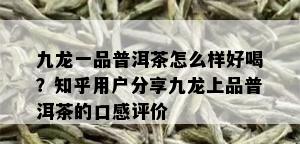 九龙一品普洱茶怎么样好喝？知乎用户分享九龙上品普洱茶的口感评价