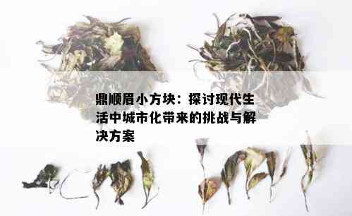 鼎顺眉小方块：探讨现代生活中城市化带来的挑战与解决方案