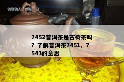 7452普洱茶是古树茶吗？了解普洱茶7451、7543的意思