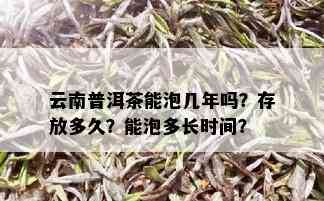 云南普洱茶能泡几年吗？存放多久？能泡多长时间？