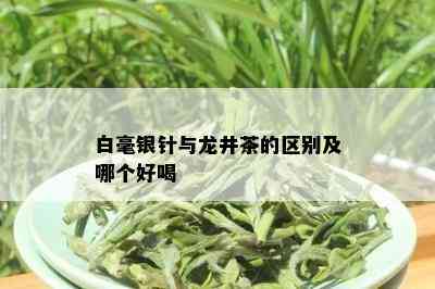 白毫银针与龙井茶的区别及哪个好喝