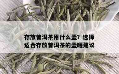 存放普洱茶用什么壶？选择适合存放普洱茶的壶罐建议