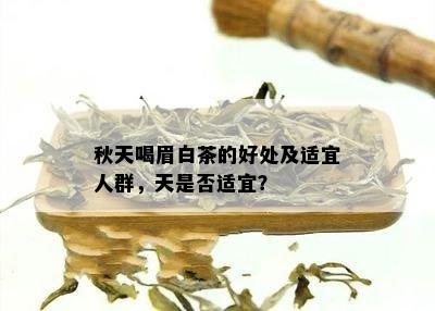 秋天喝眉白茶的好处及适宜人群，天是否适宜？