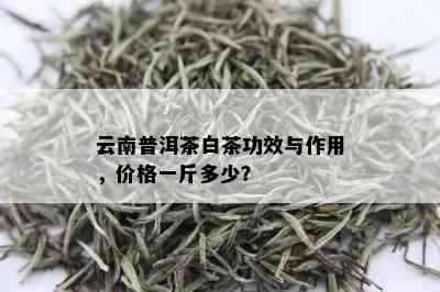 云南普洱茶白茶功效与作用，价格一斤多少？