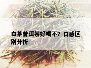 白茶普洱茶好喝不？口感区别分析