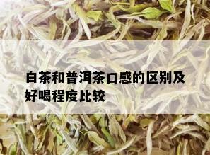 白茶和普洱茶口感的区别及好喝程度比较