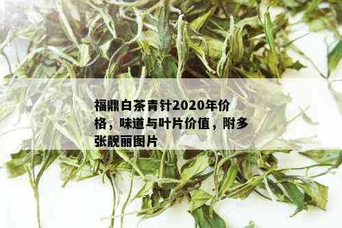 福鼎白茶青针2020年价格，味道与叶片价值，附多张靓丽图片