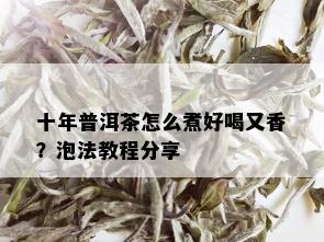 十年普洱茶怎么煮好喝又香？泡法教程分享