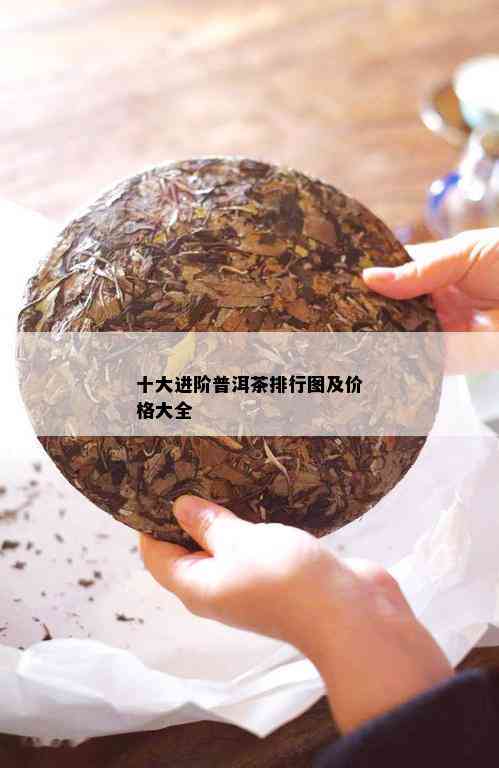 十大进阶普洱茶排行图及价格大全