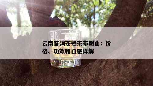 云南普洱茶熟茶布朗山：价格、功效和口感详解