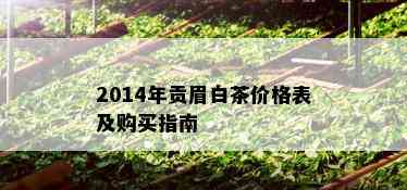 2014年贡眉白茶价格表及购买指南