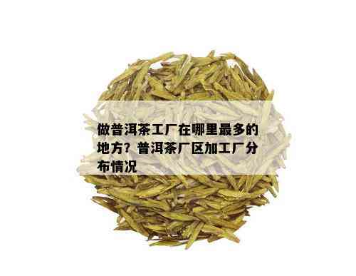 做普洱茶工厂在哪里最多的地方？普洱茶厂区加工厂分布情况