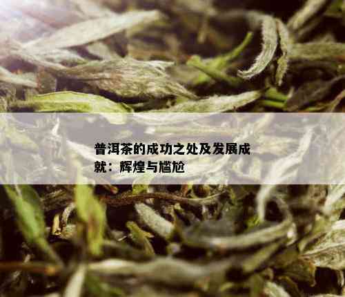 普洱茶的成功之处及发展成就：辉煌与尴尬