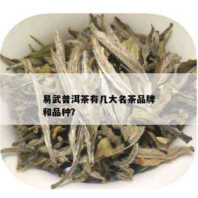 易武普洱茶有几大名茶品牌和品种？