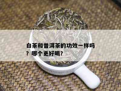 白茶和普洱茶的功效一样吗？哪个更好喝？