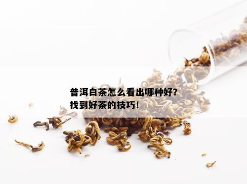 普洱白茶怎么看出哪种好？找到好茶的技巧！