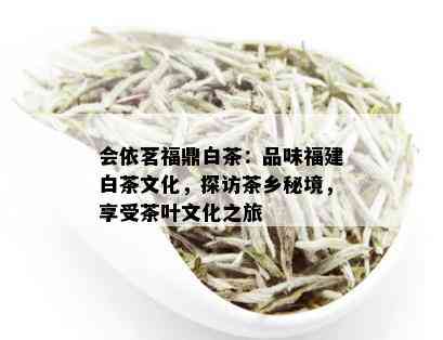 会依茗福鼎白茶：品味福建白茶文化，探访茶乡秘境，享受茶叶文化之旅