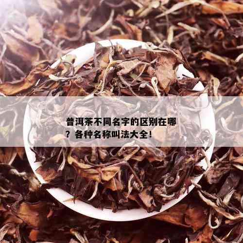 普洱茶不同名字的区别在哪？各种名称叫法大全！