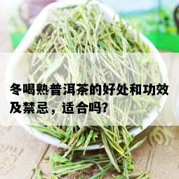 冬喝熟普洱茶的好处和功效及禁忌，适合吗？