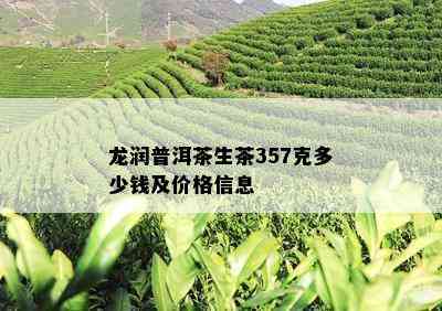 龙润普洱茶生茶357克多少钱及价格信息