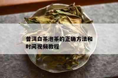 普洱白茶泡茶的正确方法和时间视频教程