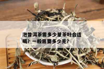 泡普洱茶需多少量茶叶合适喝？一般需要多少克？