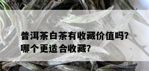 普洱茶白茶有收藏价值吗？哪个更适合收藏？