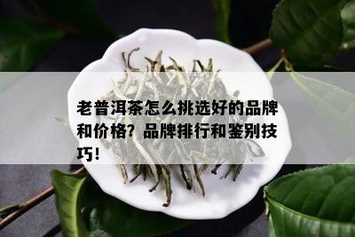 老普洱茶怎么挑选好的品牌和价格？品牌排行和鉴别技巧！