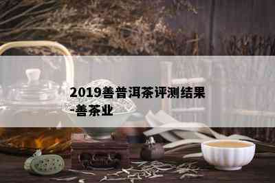 2019善普洱茶评测结果-善茶业