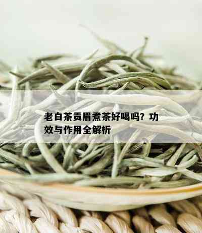 老白茶贡眉煮茶好喝吗？功效与作用全解析