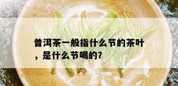 普洱茶一般指什么节的茶叶，是什么节喝的？