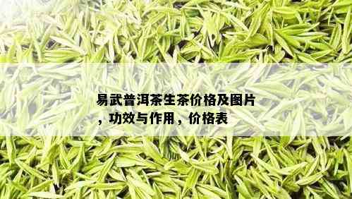 易武普洱茶生茶价格及图片，功效与作用，价格表