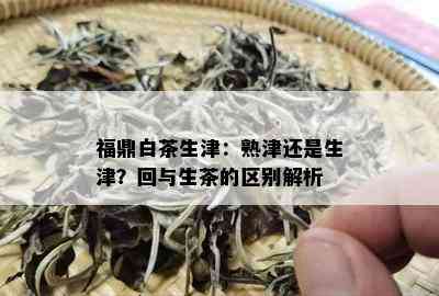 福鼎白茶生津：熟津还是生津？回与生茶的区别解析